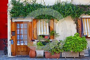 Many pots with plants near the door of the house, Burano