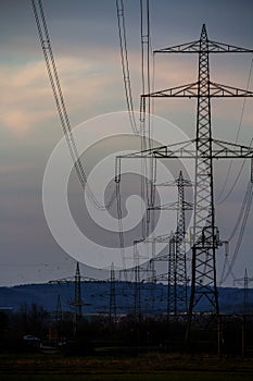 Many power poles in the landscape, with sagging power cables