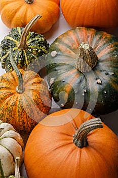 Many Pumpkins background