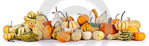 Many pumpkins isolated on white