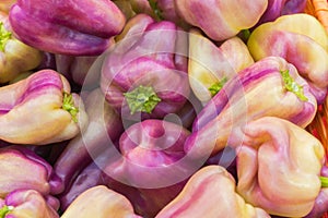 Many Purple Bell Peppers in a Basket