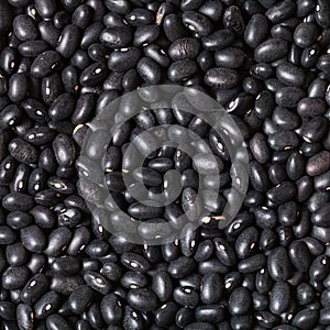 Many raw Black beans close up
