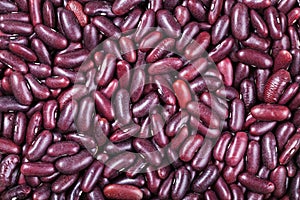 Many raw red kidney beans