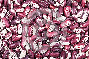 Many raw red spotted beans