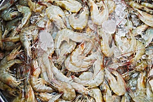 Many of raw shrimp in fresh market