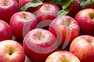 Many red apples with leaves on a wooden background