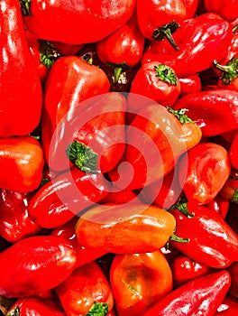 Many Red Baby Peppers For Sale in Shop