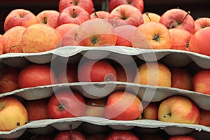 Many red green apples as texture background