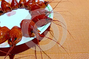 many red heads of boiled crayfish lie on a white plate, a snack for beer