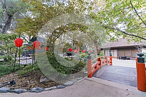 Many red lantern in Japanese garden of Descanso Garden photo