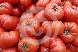Many red large tomatoes on the counter in the market