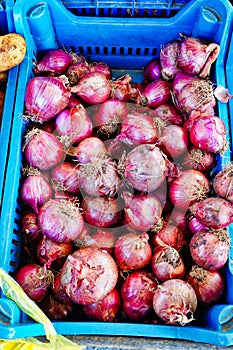 Many Red Onions in Blue Plastic Crate