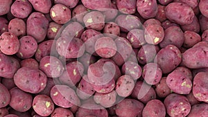 many red potatoes falling in a pile, restaurant french fries ingredients, agriculture pouring potato harvest 3D illustration