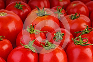 Many red ripe tomatoes