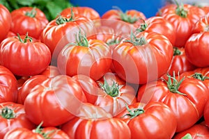 Many red ripe tomatoes close up.