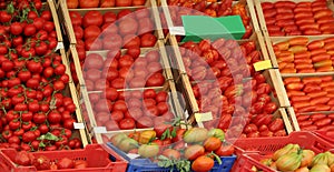 ripe red tomato on sale in the grocery store in a mediterranean