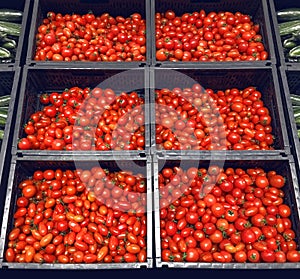 Many red tomatoes in boxes supermarket