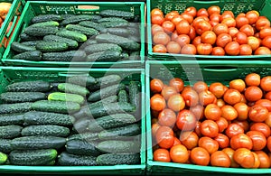 Many red tomatoes and cucumbers in boxes