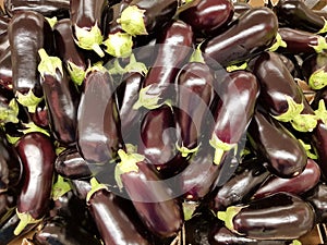 many ripe eggplant on supermarket