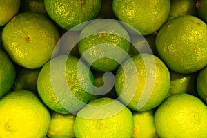 Many ripe, fresh lime fruits lying in a box