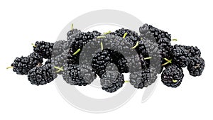 Many ripe mulberries isolated on white background