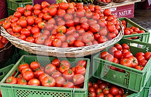 Many Ripe Red Round Tomatoes in Basket and Boxes, on sale in Summer