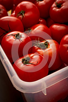 Many ripe red tomatoes