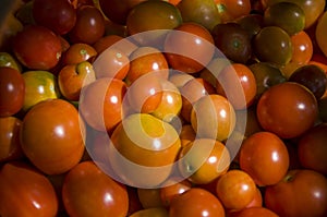 Many ripe red and yellow tomatoes on the wood table. Vegetables. Background