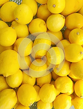 Many Ripe Yellow Lemons Background.