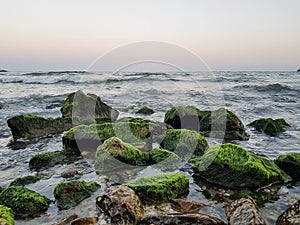 Many rocks with green moss on it in sea wavy water