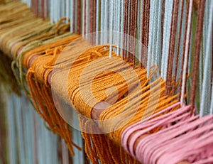 Many row of colored wool thesis in old textiles weaving loom