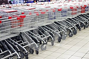 Many rows of carts at the grocery store