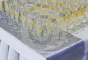 Many rows of glasses of wine and champagne