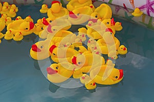 Many rubber yellow toy ducks floating in children`s pool