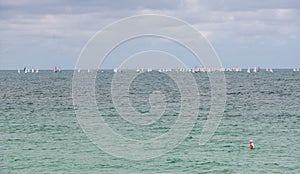 Many sailboats in Atlantic Ocean Miami Florida