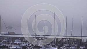 Many sailboats docked on a foggy day