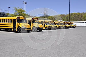 Many school buses