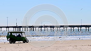 Many seagulls flying near a golf cart at an ocean beach , with a fishing pier in the distance, on a sunny day. Includes zoom