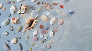 Many seashells and sea pebbles on golden sand