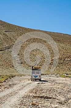 Many sheep being transported on roof of old van on rough track through the Atlas mountains, Morocco, North Africa