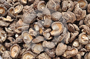 Many Shiitake Mushroom Dried