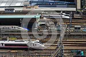 Many Shinkansen trains at Tokyo station