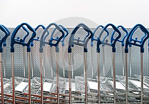 Many shopping carts in a row