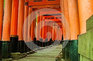 Many shrine gates at Fushimi Inari Taisha Shrine in Japan