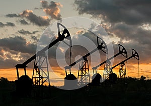 Many silhouettes of drilling oil rigs at sunset