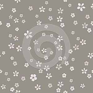 Many simple small flowers with gold core on gray ashen background.