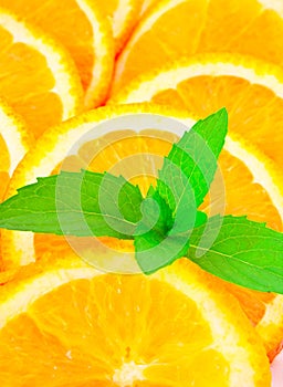 Many sliced oranges and plant