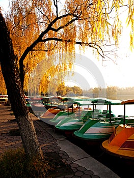 Many small boats