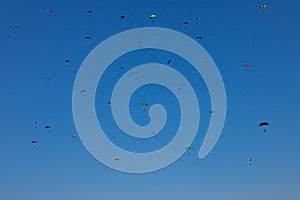 Many small paratroopers in the blue clear sky with multi-colored parachutes during skydiving with extreme flight down. Adrenaline