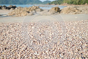 Many small shells on the beach at Ao Khao Kwai (Buffalo Bay)